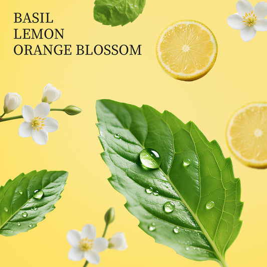 Basil scented refillable travel hand sanitizer spray with aloe