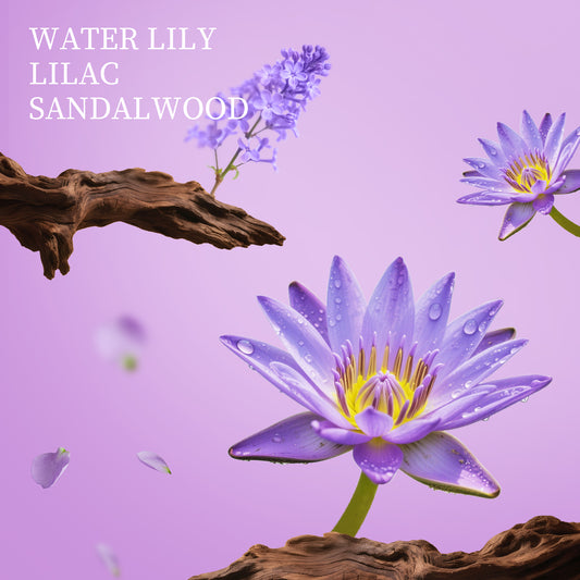 Lilac scented refillable travel hand sanitizer spray with aloe